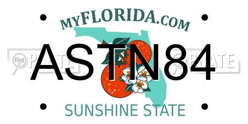 ASTN84 Florida License Plate