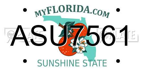 ASU7561 Florida License Plate