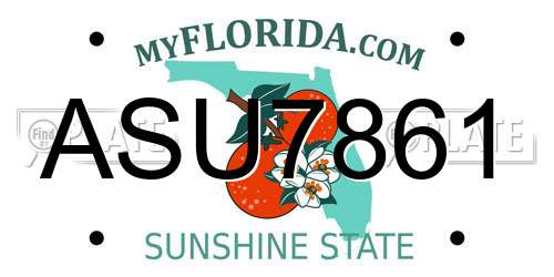 ASU7861 Florida License Plate