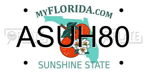 ASUH80 Florida License Plate