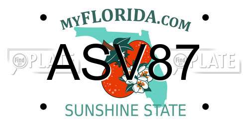 ASV87 Florida License Plate