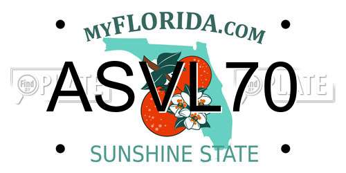 ASVL70 Florida License Plate