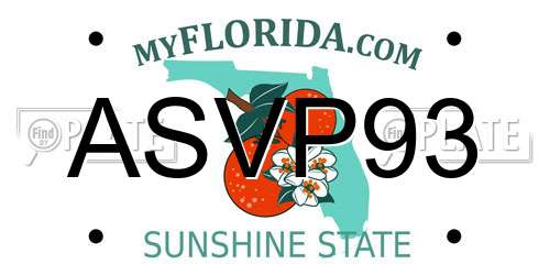 ASVP93 Florida License Plate