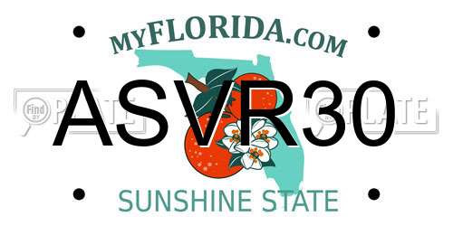 ASVR30 Florida License Plate