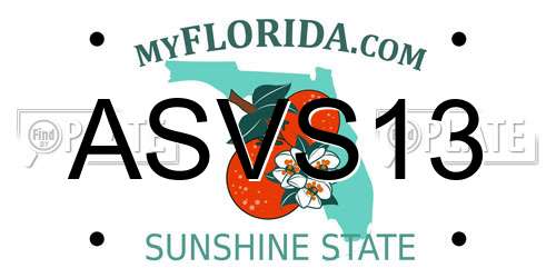ASVS13 Florida License Plate