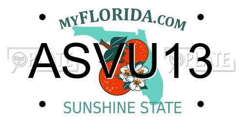 ASVU13 Florida License Plate
