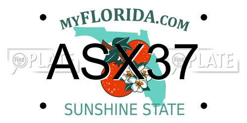 ASX37 Florida License Plate