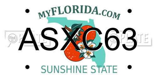 ASXC63 Florida License Plate