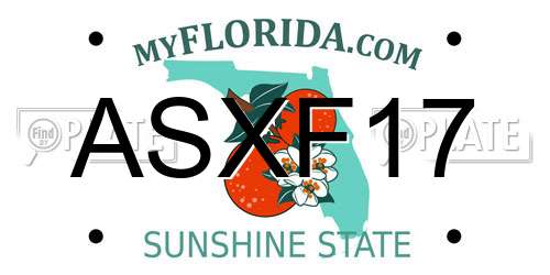 ASXF17 Florida License Plate