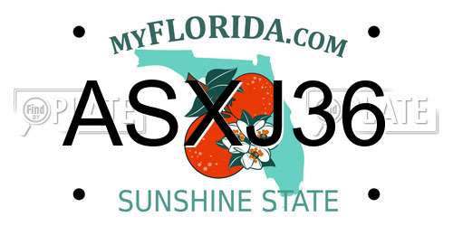 ASXJ36 Florida License Plate