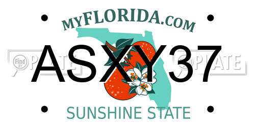 ASXY37 Florida License Plate