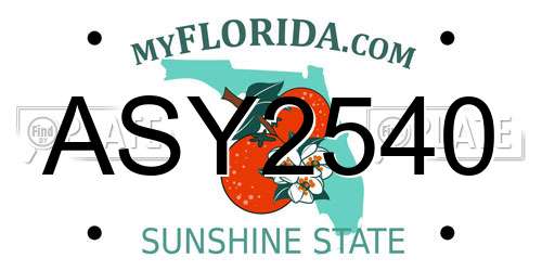 ASY2540 Florida License Plate