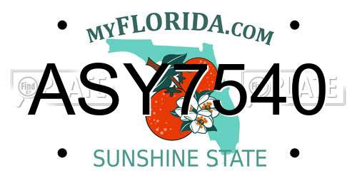 ASY7540 Florida License Plate