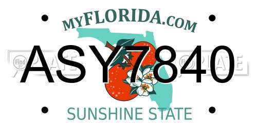 ASY7840 Florida License Plate
