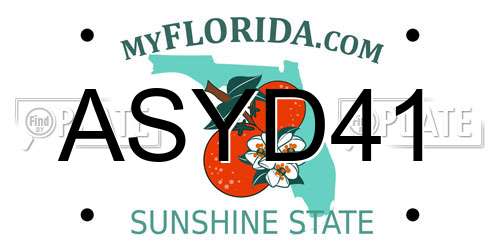 ASYD41 Florida License Plate