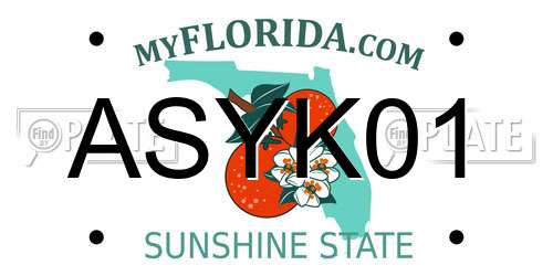 ASYK01 Florida License Plate