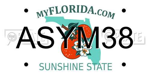 ASYM38 Florida License Plate