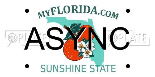 ASYNC Florida License Plate
