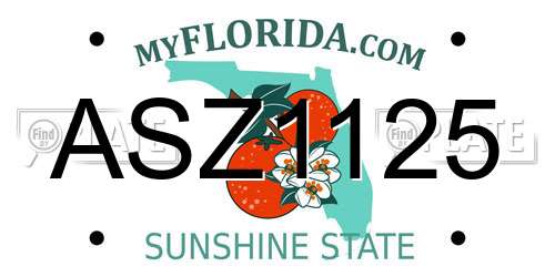 ASZ1125 Florida License Plate