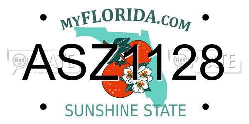 ASZ1128 Florida License Plate