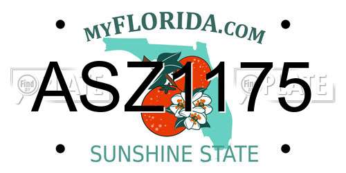 ASZ1175 Florida License Plate