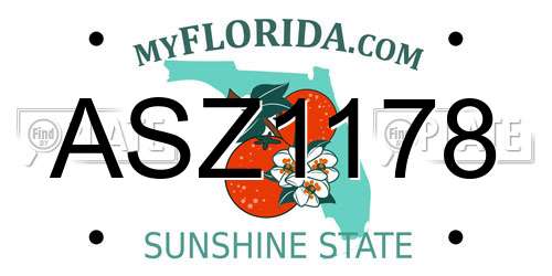 ASZ1178 Florida License Plate