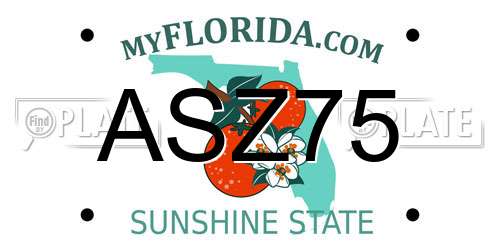 ASZ75 Florida License Plate
