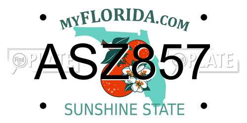 ASZ857 Florida License Plate