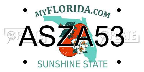 ASZA53 Florida License Plate