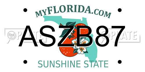 ASZB87 Florida License Plate