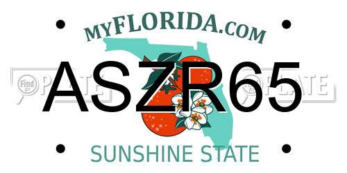 ASZR65 Florida License Plate