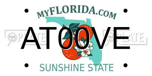 AT00VE Florida License Plate