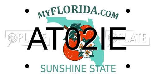 AT02IE Florida License Plate