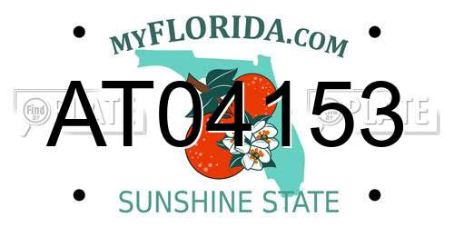 AT04153 Florida License Plate