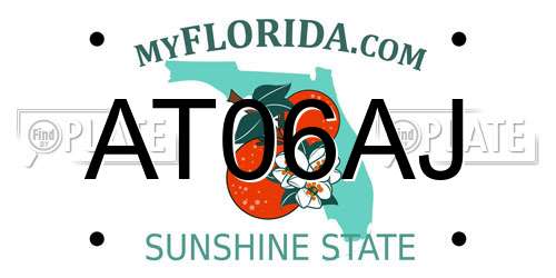 AT06AJ Florida License Plate