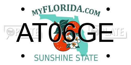 AT06GE Florida License Plate