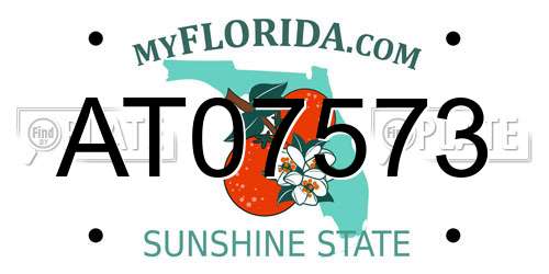 AT07573 Florida License Plate