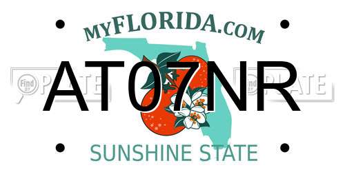 AT07NR Florida License Plate