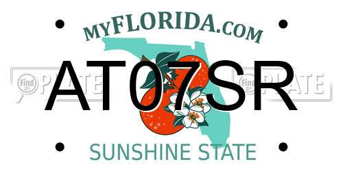 AT07SR Florida License Plate