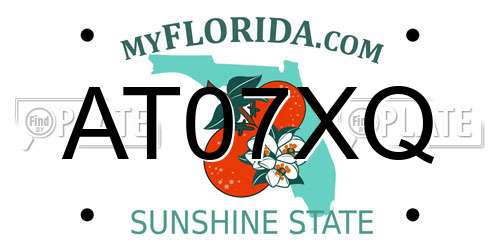AT07XQ Florida License Plate