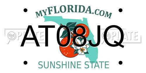 AT08JQ Florida License Plate