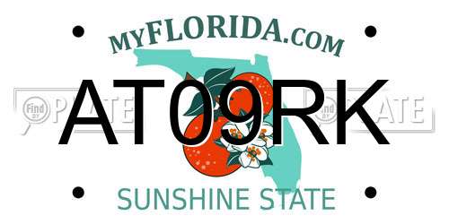 AT09RK Florida License Plate