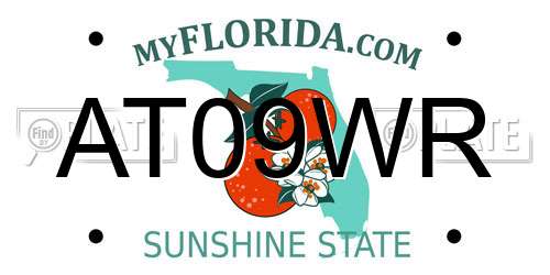 AT09WR Florida License Plate