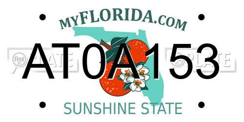 AT0A153 Florida License Plate