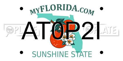 AT0P2I Florida License Plate