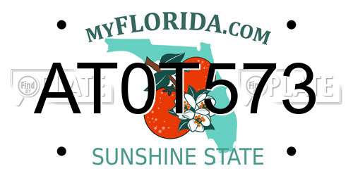 AT0T573 Florida License Plate