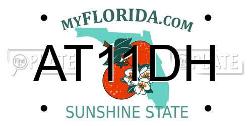 AT11DH Florida License Plate
