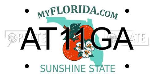 AT11GA Florida License Plate