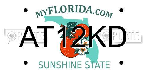 AT12KD Florida License Plate