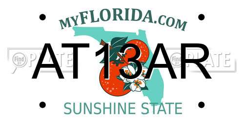 AT13AR Florida License Plate